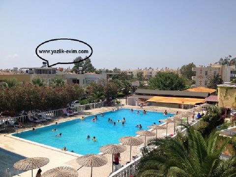 pool pictures
